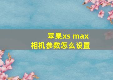 苹果xs max相机参数怎么设置